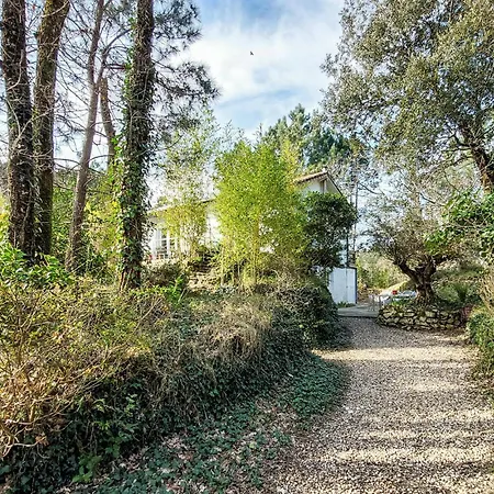 Casa vacanze Maison Dans Les Bois *