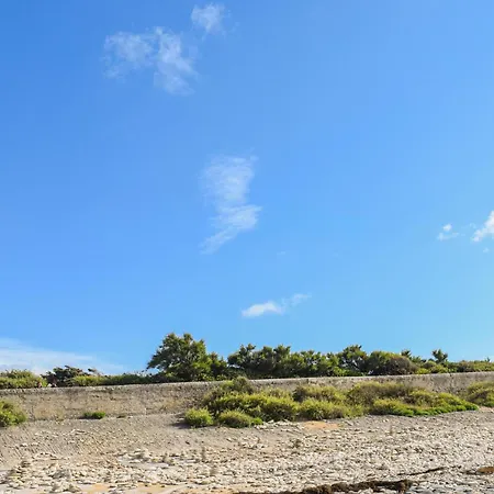 Maison Dans Les Bois * Saint-Augustin (Charente-Maritime)